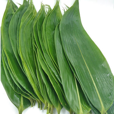 Natural Big Size Sushi Food Decoration Bamboo Leaves 7-11cm